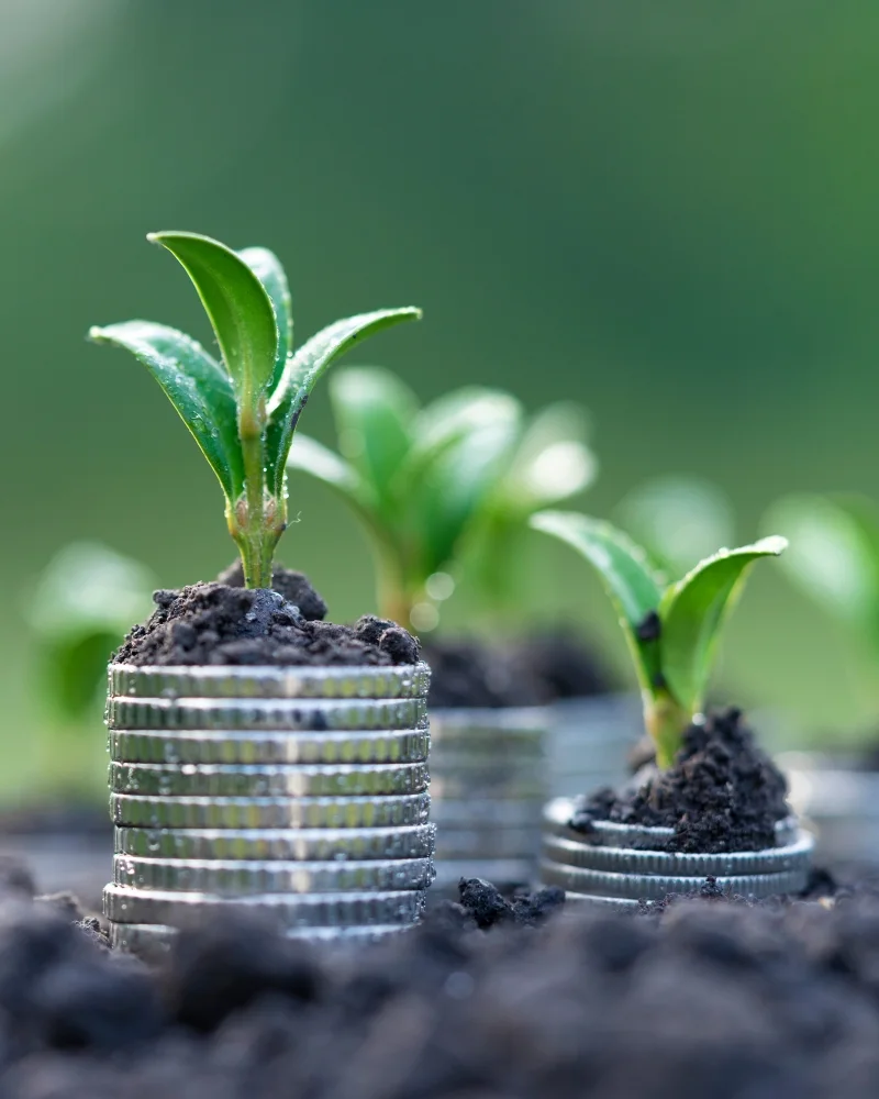 Jonge plantjes groeien uit aarde op stapels munten